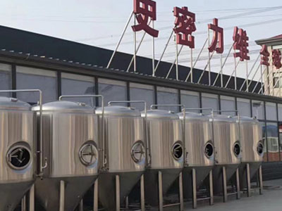 秭归精酿啤酒设备厂—如何判断精酿啤酒设备的密封件需要更换？